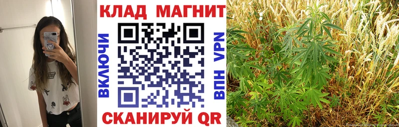 Где найти наркотики Луга Гашиш Кокаин А ПВП Каннабис Меф мяу мяу