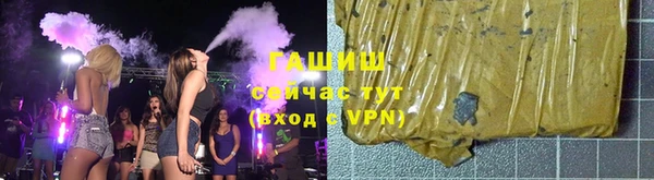 индика Абинск