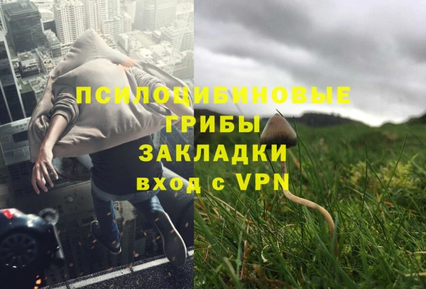 индика Абинск