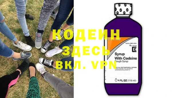 индика Абинск