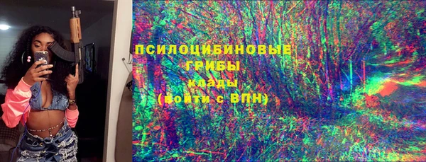 индика Абинск
