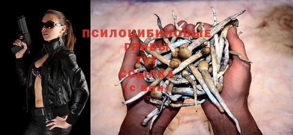 соль курить ск Абаза