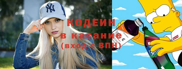 индика Абинск