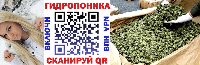 хочу наркоту мега зеркало Конопля индика Луга